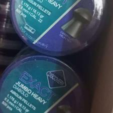 ساچمه ورزشی دیسکاوری