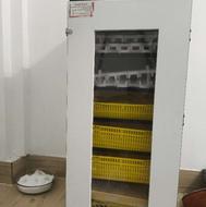 دستگاه جوجه کشی 210 تایی هدایت