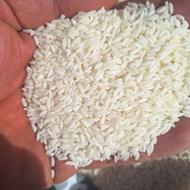 فروش برنج درجه یک شمال و عنبربو جنوب زیر قیمت بازار