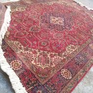 قالیشویی سهیل