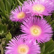 سیم کشی وکابل کشی ساختمان