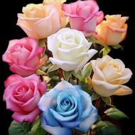 استخدام پرستار شبانه روزی وروزانه