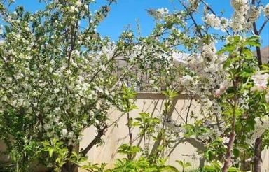 ویلای 4 خواب سادات‌محله خوش‌نشین نزدیک آبعلی