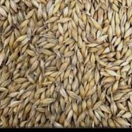 جو خارجی دو تون 10000000ملیون هست روی دفتر چه عشایری