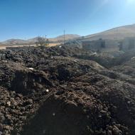 فروش کود حیوانی تحویل سر زمین