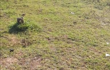 فروش زمین مسکونی 300 متر در خیابان تهران