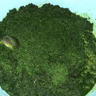 دلال ماست ،تخم مرغ محلی،سبزیجات