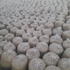 تفاله تر پرس