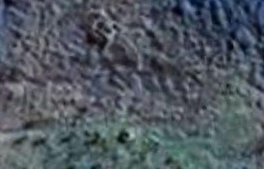 فروش زمین مسکونی 150 متر در خیابان ساری