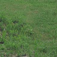 فروش فوری زمین