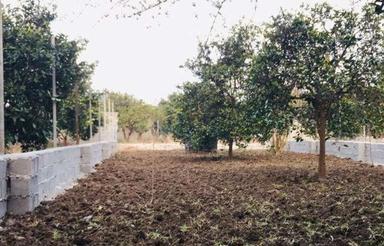 175 متر مسکونی داخل بافت خوش قواره