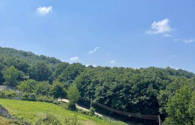 فروش زمین مسکونی 300 متر در کلیجان رستاق