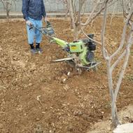 تیلر زنی و هرس درختان و کلیه خدماتی باغبانی