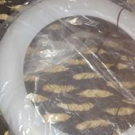 رینگ لایت گرد بزرگ