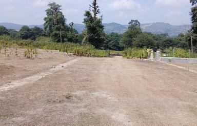 فروش زمین کشاورزی 300 متر در سلیم شیخ