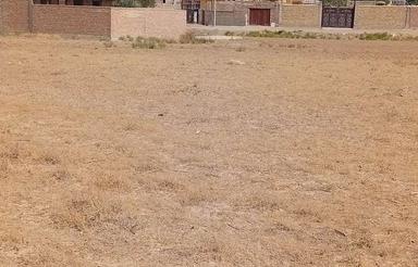 زمین کردکندی