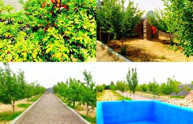 فروش باغ ویلای 1000 متری با قدمت 10 ساله