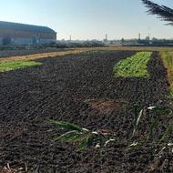 فروش زمین کشاورزی 2800 مترمربعی در بابل