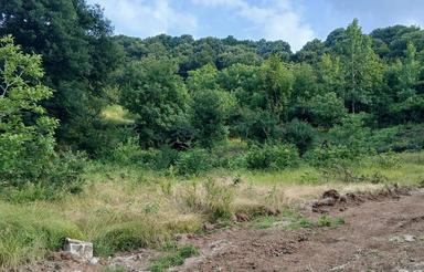 فروش زمین کشاورزی 300 متر در شکتا