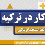 استخدام نیرو در ترکیه