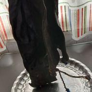 هیزه گوسفندی بزرگ