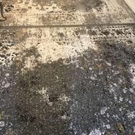 فرش طوسی12متری