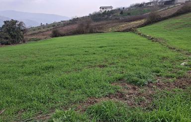 فروش زمین جهت ساخت ویلا