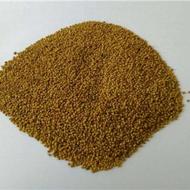 تولید و فروش بذر درجه یک