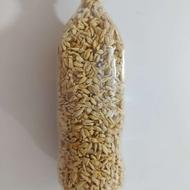 تخم نارنج مناسب سبز کردن سبزه عید