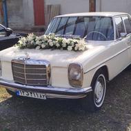 اجاره ماشین عروس