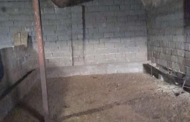 دامداری تازه وتمیزواقع دردوشانتپه