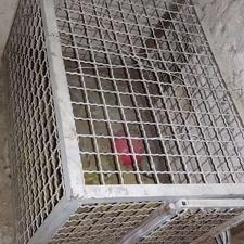 قفس حیوانات