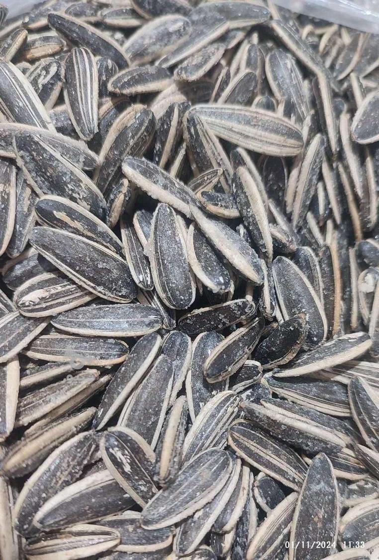 فروش خام و تفت داده تخمه آفتابگردان اس 300 (کانادایی) خوی