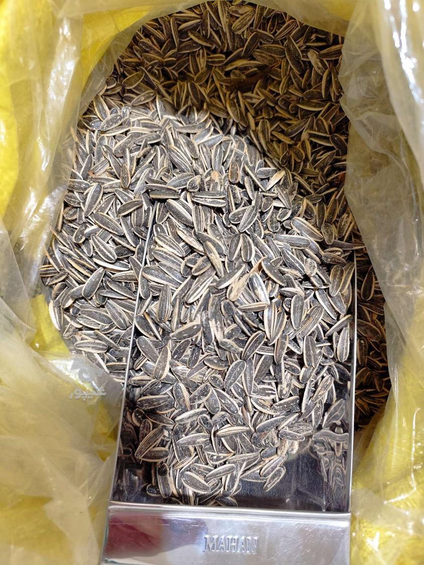 فروش خام و تفت داده تخمه آفتابگردان اس 300 (کانادایی) خوی