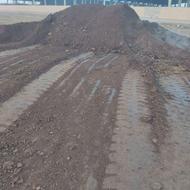 بابکت و ایسوزو