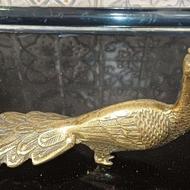 طاووس برنزی