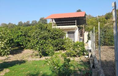 فروش یک قطعه زمین باغی به علت نیاز مالی و خرید منزل مسکونی