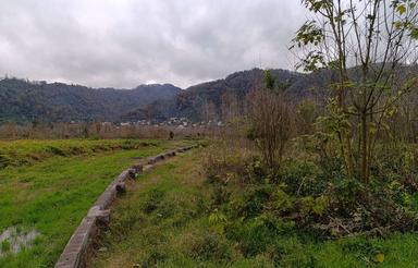 زمین در لیالستان