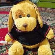 عروسک خرسی قهوه‌ای فارغ‌التحصیل دانشگاه