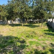 استخدام همکار در املاک