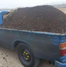 کودحیوانی گاوی گوسفند تحویل در محل