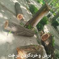 برش درخت خشک با اره موتوری وبرقی قوی خردکردن درخت