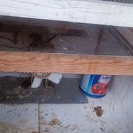 دستگاه جوجه کشی