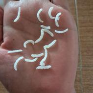 برنج طارم هاشمی دونوج شمالی درجه 1 بدون هیچ نقصی