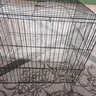 قفس پرندگان