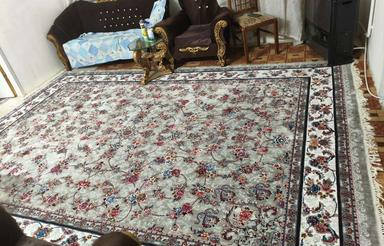 همخونه میخام