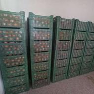 جعبه پرتقال نو صد عدد