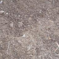 کود گوسفندی