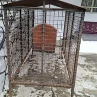 قفس فلزی اموات