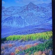 خرید و فروش زمین های ویلایی